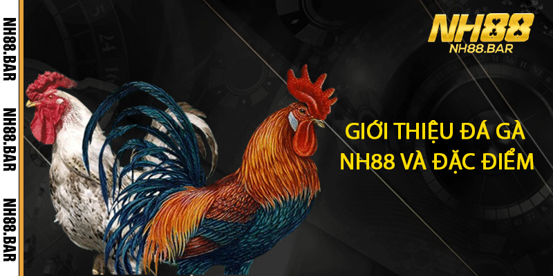 Giới thiệu Đá gà NH88 và đặc điểm