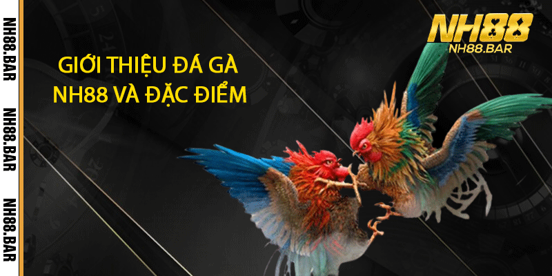 Các giống gà được ưa thích nhất tại NH88